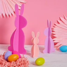 Load image into Gallery viewer, Set of 3 pink acrylic bunny set