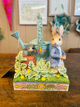 Load image into Gallery viewer, Jim shore “caught in mr. Mcgregor’s garden”